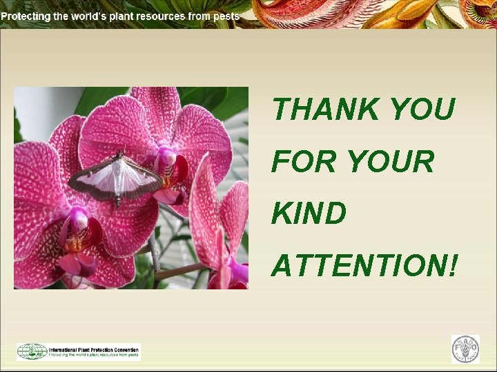 THANK YOU FOR YOUR KIND ATTENTION! 