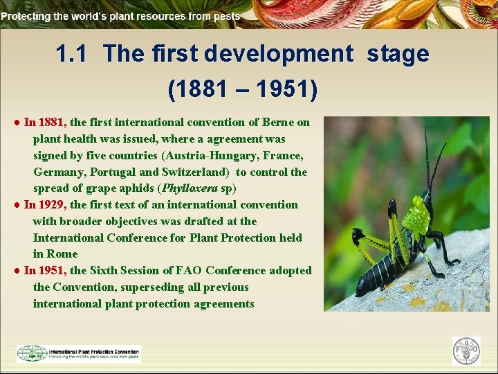1. 1 The first development stage (1881 – 1951) ● In 1881, the first