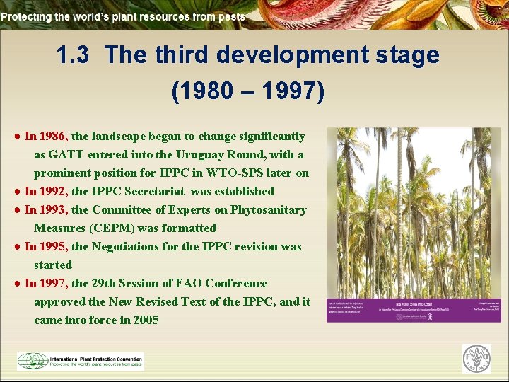 1. 3 The third development stage (1980 – 1997) ● In 1986, the landscape