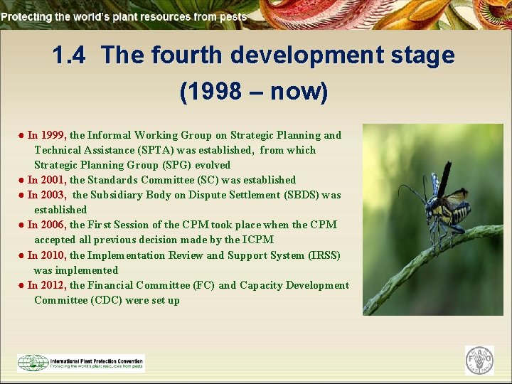 1. 4 The fourth development stage (1998 – now) ● In 1999, the Informal