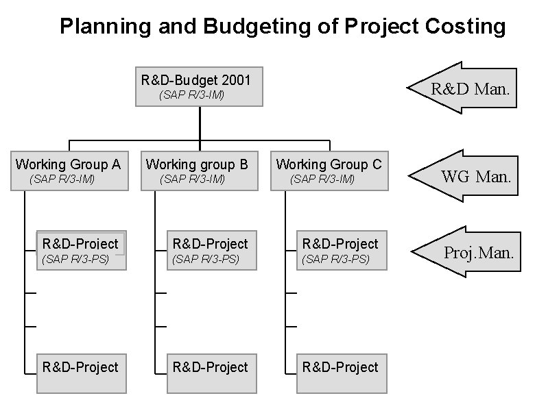 Planning and Budgeting of Project Costing R&D-Budget 2001 R&D Man. (SAP R/3 -IM) Working