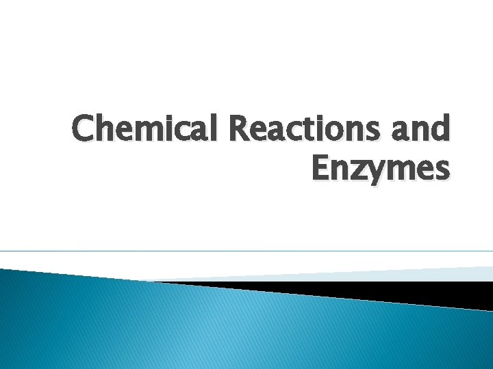 Chemical Reactions and Enzymes 