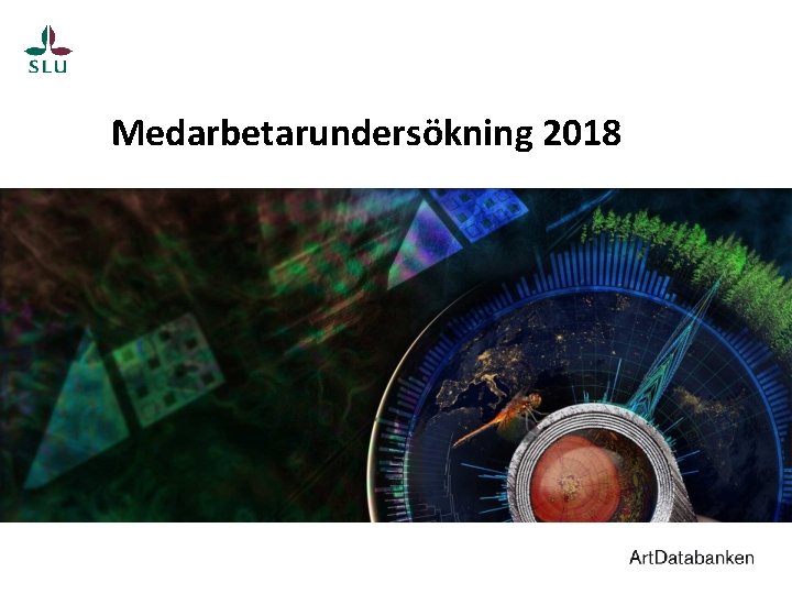 Medarbetarundersökning 2018 