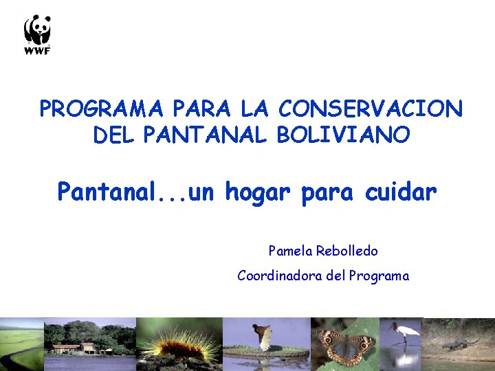 PROGRAMA PARA LA CONSERVACION DEL PANTANAL BOLIVIANO Pantanal. . . un hogar para cuidar