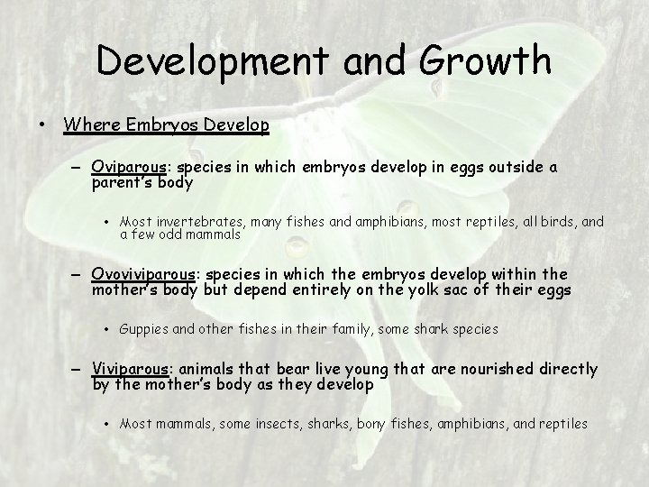 Development and Growth • Where Embryos Develop – Oviparous: species in which embryos develop Development and Growth • Where Embryos Develop – Oviparous: species in which embryos develop