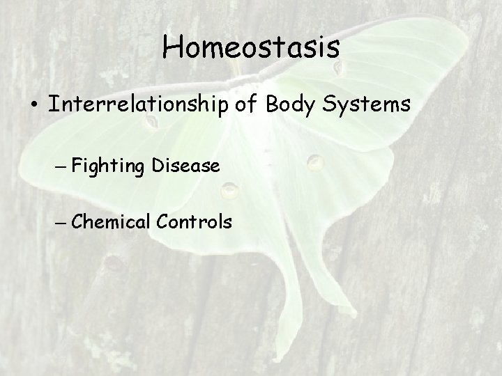Homeostasis • Interrelationship of Body Systems – Fighting Disease – Chemical Controls Homeostasis • Interrelationship of Body Systems – Fighting Disease – Chemical Controls