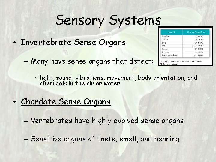 Sensory Systems • Invertebrate Sense Organs – Many have sense organs that detect: • Sensory Systems • Invertebrate Sense Organs – Many have sense organs that detect: •