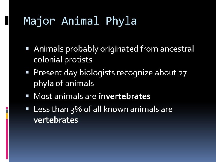 Major Animal Phyla Animals probably originated from ancestral colonial protists Present day biologists recognize