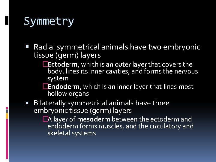 Symmetry Radial symmetrical animals have two embryonic tissue (germ) layers �Ectoderm, which is an