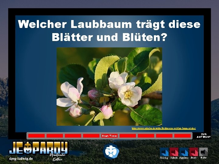 Welcher Laubbaum trägt diese Blätter und Blüten? https: //www. oekoleo. de/artikel/bilderserie-welcher-baum-ist-das/ Start Timer ZUR