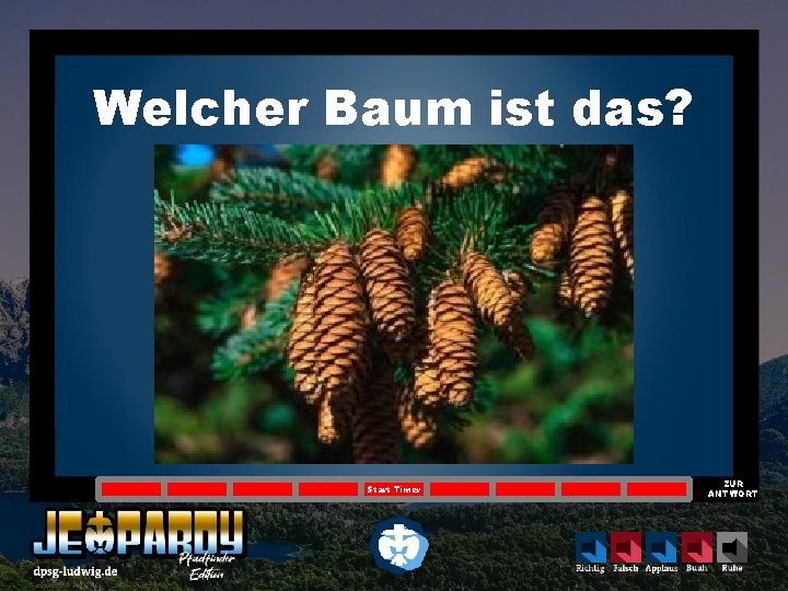 Welcher Baum ist das? Start Timer ZUR ANTWORT 