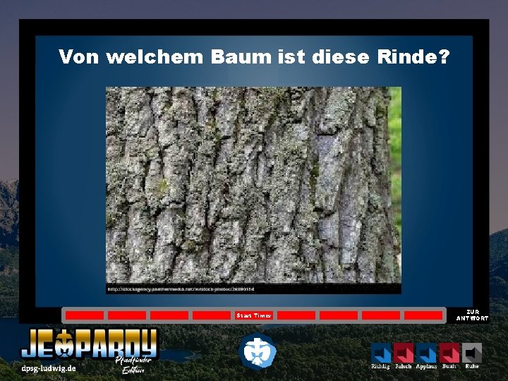 Von welchem Baum ist diese Rinde? Start Timer ZUR ANTWORT 