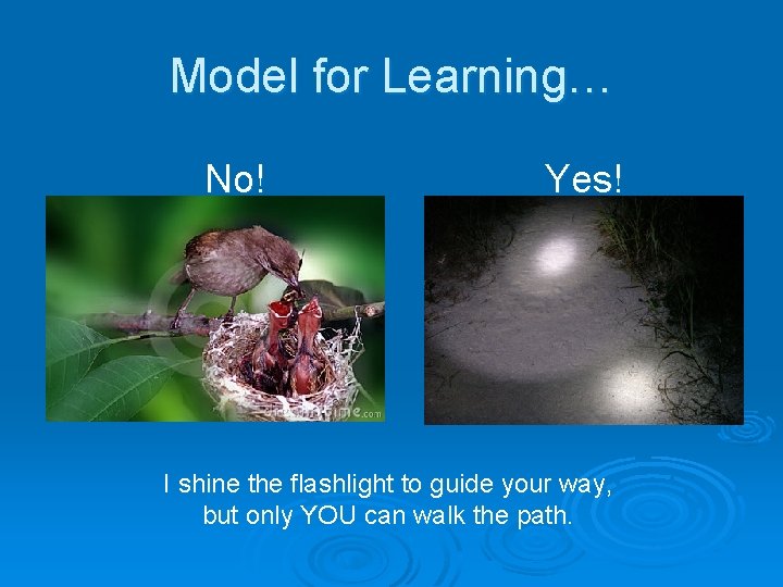 Model for Learning… No! Yes! I shine the flashlight to guide your way, but