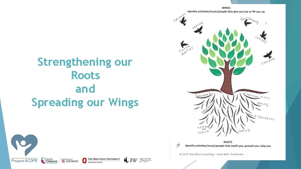 7 Strengthening our Roots and Spreading our Wings © 2018 Soul Bird Consulting –