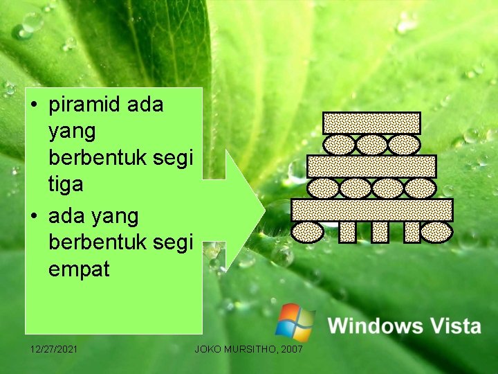  • piramid ada yang berbentuk segi tiga • ada yang berbentuk segi empat