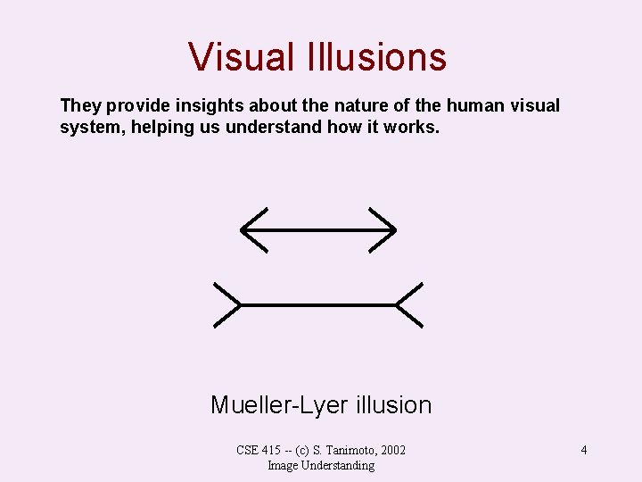 Visual Illusions They provide insights about the nature of the human visual system, helping