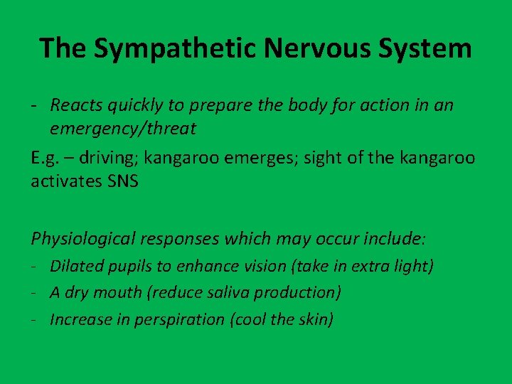 The Sympathetic Nervous System - Reacts quickly to prepare the body for action in