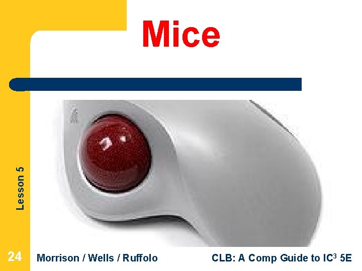 Lesson 5 Mice 24 Morrison / Wells / Ruffolo CLB: A Comp Guide to