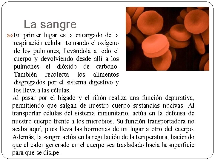 La sangre En primer lugar es la encargado de la respiración celular, tomando el