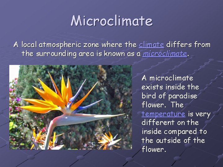Microclimate A local atmospheric zone where the climate differs from the surrounding area is