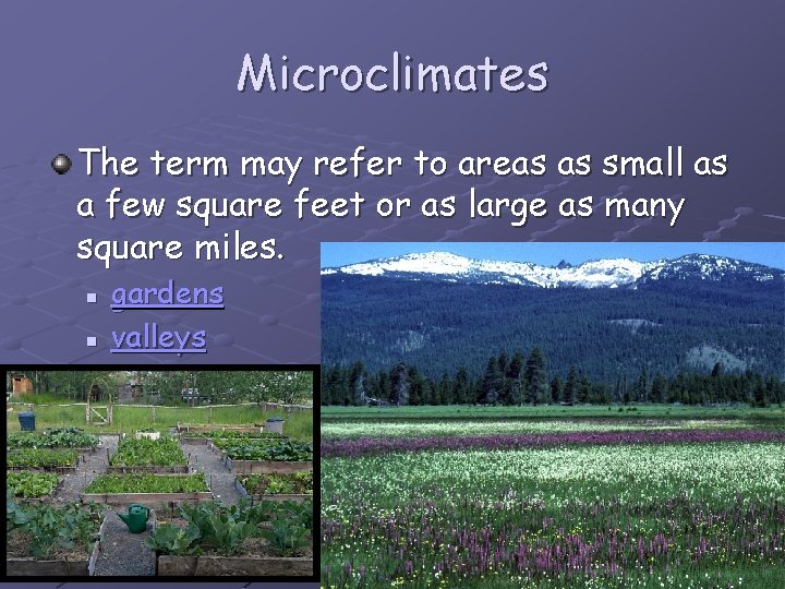 Microclimates The term may refer to areas as small as a few square feet