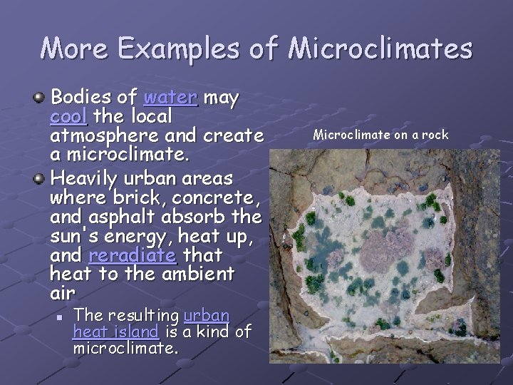 More Examples of Microclimates Bodies of water may cool the local atmosphere and create