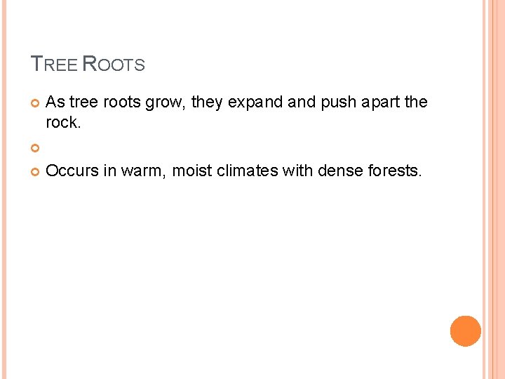 TREE ROOTS As tree roots grow, they expand push apart the rock. Occurs in