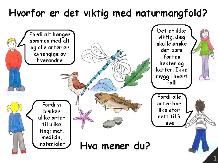 Hvorfor er det viktig med naturmangfold? Det er ikke viktig. Jeg skulle ønske det