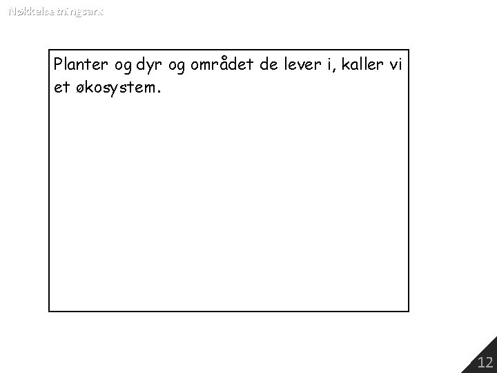 Nøkkelsetningsark Planter og dyr og området de lever i, kaller vi et økosystem. 12