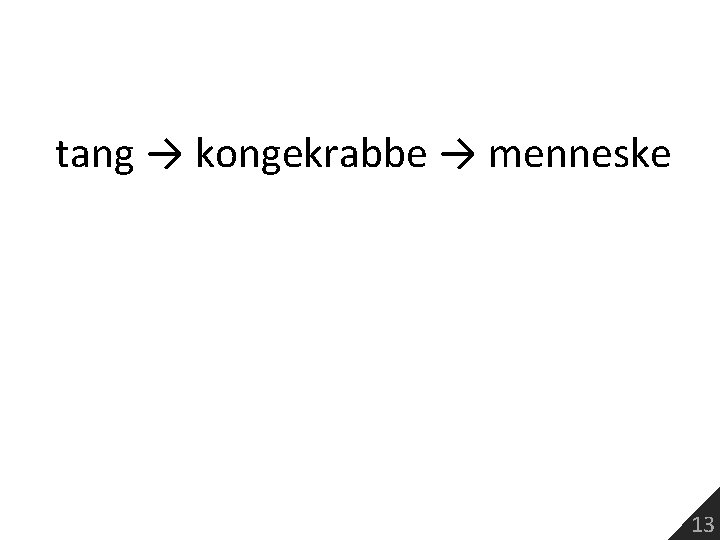 tang → kongekrabbe → menneske 13 