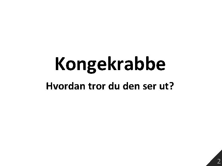 Kongekrabbe Hvordan tror du den ser ut? 2 