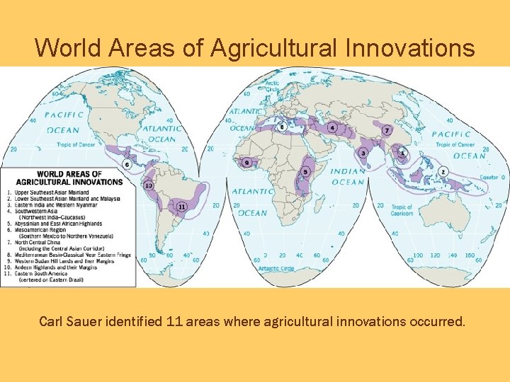 World Areas of Agricultural Innovations Carl Sauer identified 11 areas where agricultural innovations occurred.