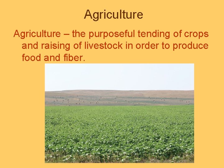 Agriculture – the purposeful tending of crops and raising of livestock in order to