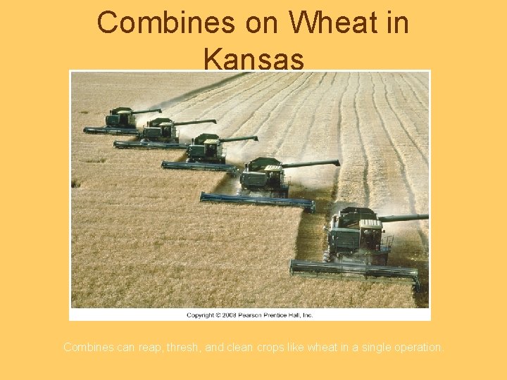 Combines on Wheat in Kansas Combines can reap, thresh, and clean crops like wheat