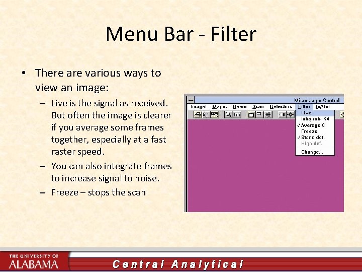 Menu Bar - Filter • There are various ways to view an image: –