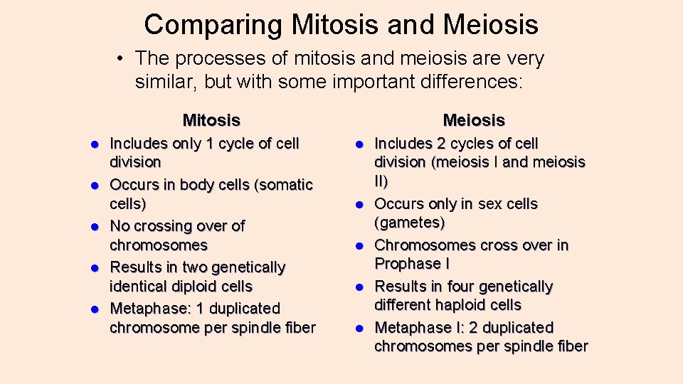 Comparing Mitosis and Meiosis • The processes of mitosis and meiosis are very similar,