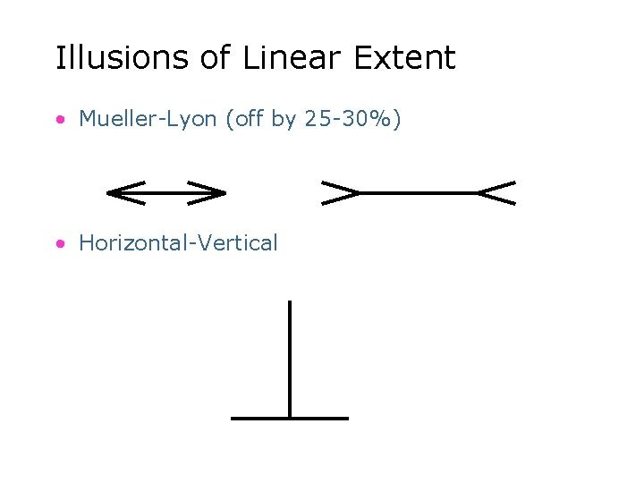 Illusions of Linear Extent • Mueller-Lyon (off by 25 -30%) • Horizontal-Vertical 