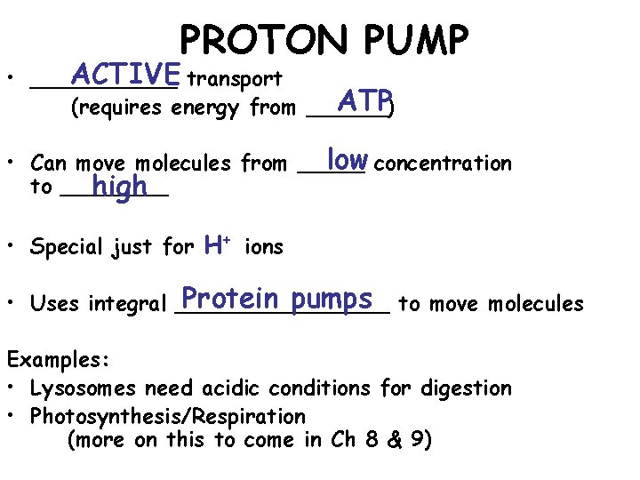 PROTON PUMP ACTIVE transport • ______ ATP (requires energy from ______) low concentration • PROTON PUMP ACTIVE transport • ______ ATP (requires energy from ______) low concentration •