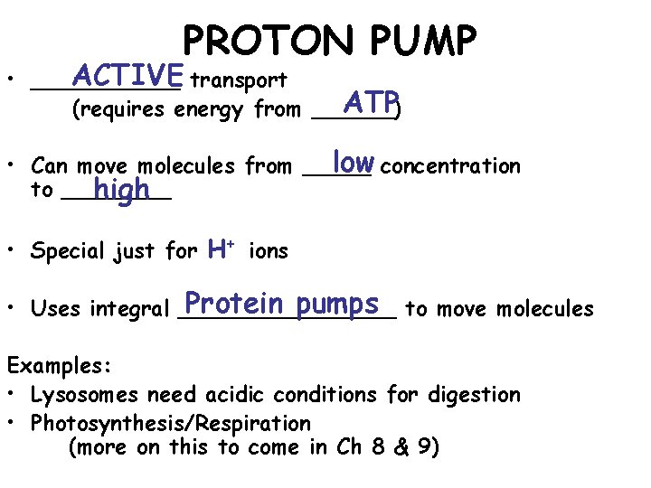 PROTON PUMP ACTIVE transport • ______ ATP (requires energy from ______) low concentration •