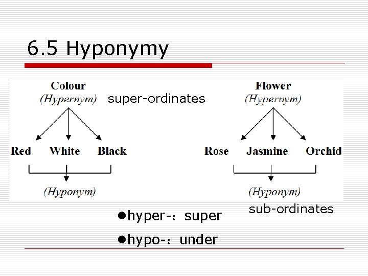 6. 5 Hyponymy super-ordinates lhyper-：super lhypo-：under sub-ordinates 