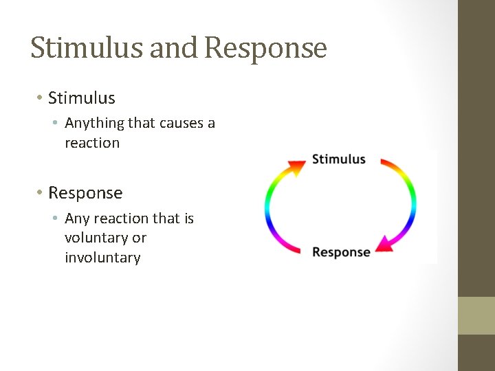 Stimulus and Response • Stimulus • Anything that causes a reaction • Response •