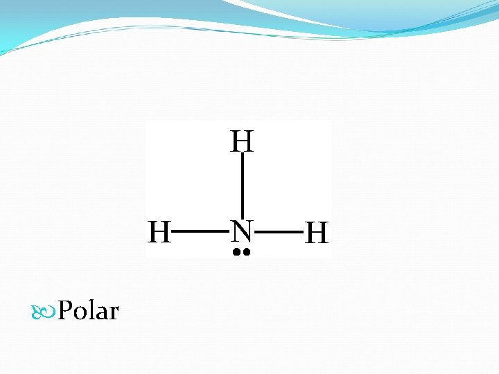  Polar 