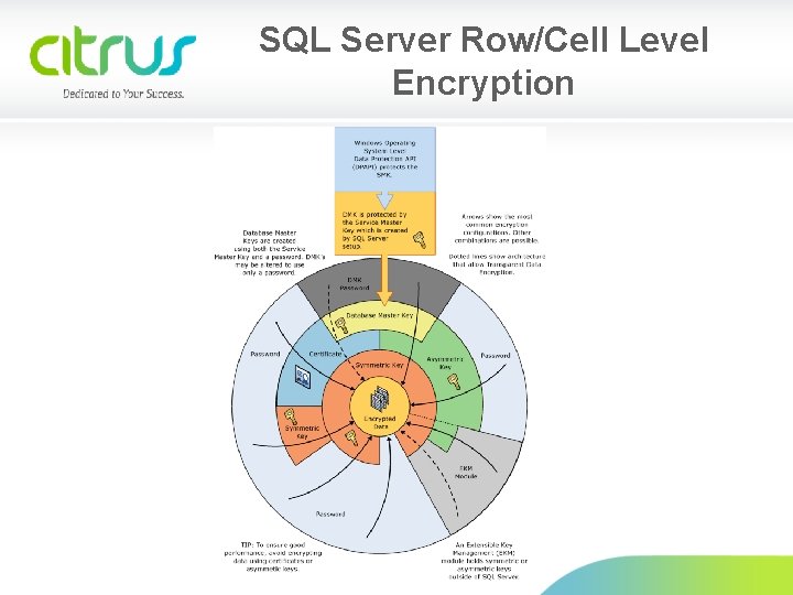 SQL Server Row/Cell Level Encryption 