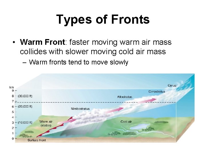 Types of Fronts • Warm Front: faster moving warm air mass collides with slower