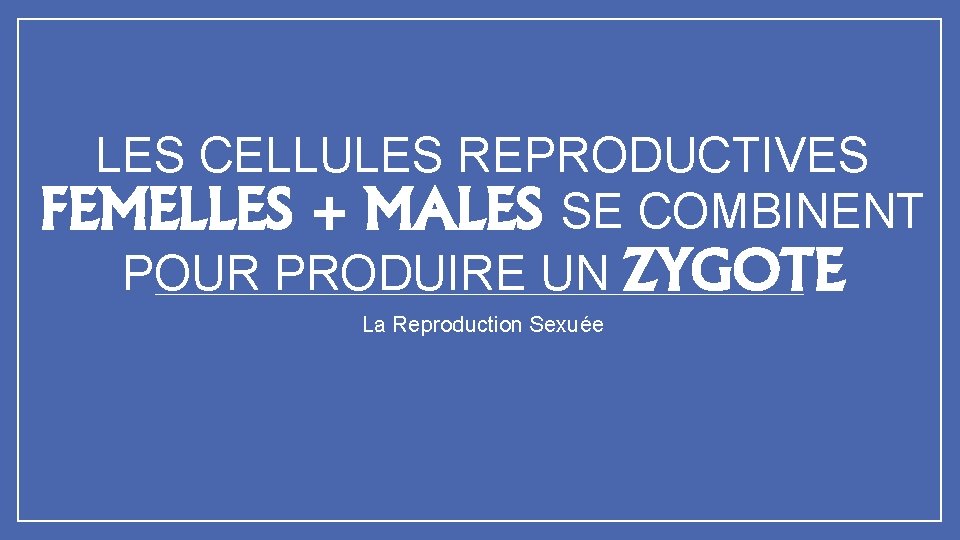 LES CELLULES REPRODUCTIVES FEMELLES + MALES SE COMBINENT POUR PRODUIRE UN ZYGOTE La Reproduction