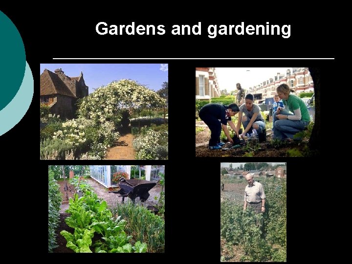 Gardens and gardening 