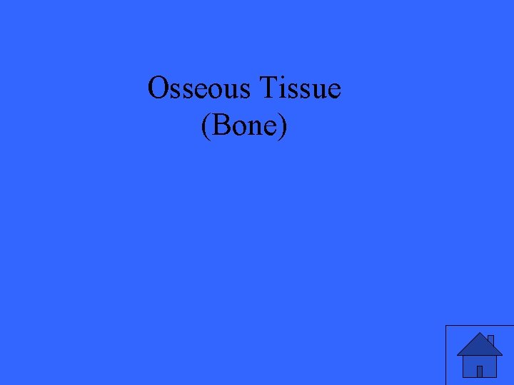 Osseous Tissue (Bone) 