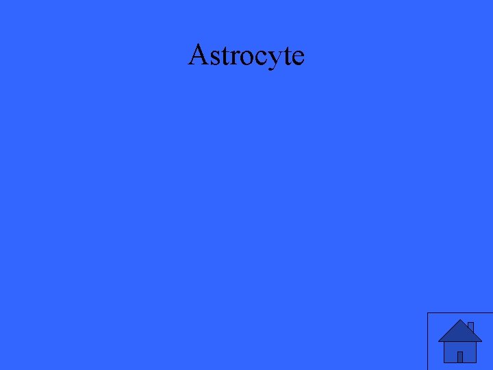 Astrocyte 