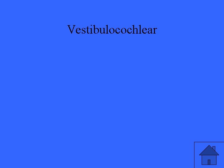 Vestibulocochlear 