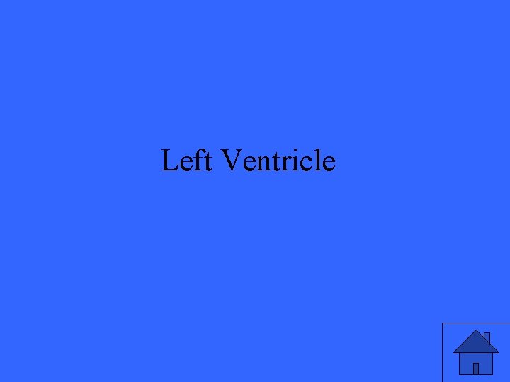 Left Ventricle 